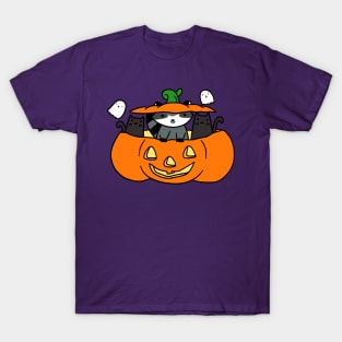 Halloween Black Cats and Raccoon T-Shirt